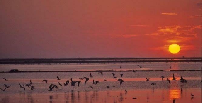 Margheritamare Margherita Di Savoia Ngoại thất bức ảnh